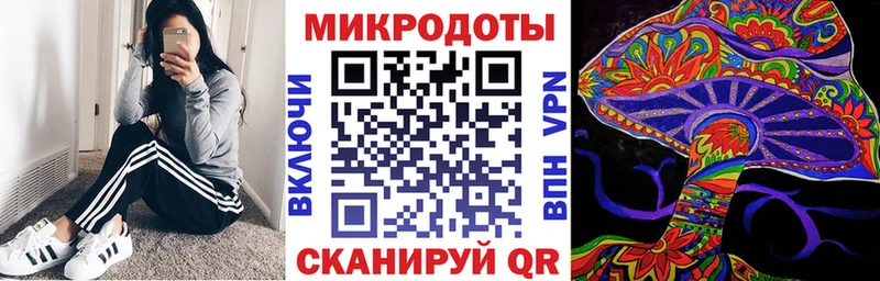 Купить закладки  Елец  Псилоцибиновые грибы Psilocybine cubensis 